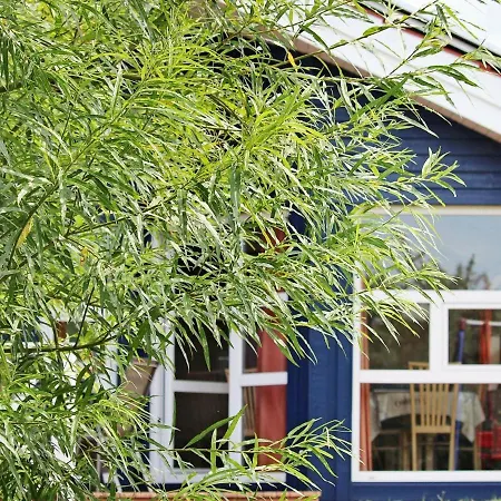 6 Person Holiday Home In Otterndorf Otterndorf